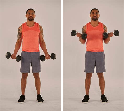 Como Fazer O Dumbbell Biceps Curl This Unruly