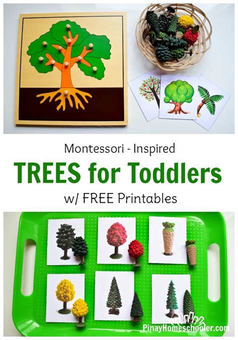 How To Teach A Toddler About Trees Teaching Toddlers Preschool