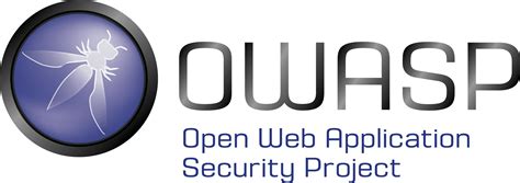 Owasp What It Can Give You Beyond The Top Ten
