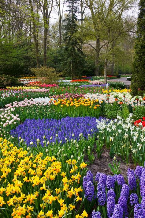 24 Beautiful Colorful Flower Garden Design That Will Increase Your Home