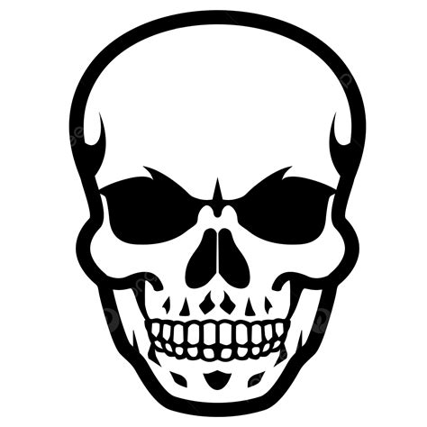 Skull Clip Art Skull Skull Clipart Png And Vector With Transparent