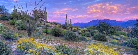 Pace yourself and stop to rest in occasional. Pickleball at Emerald Desert RV Resort is one of the fun ...