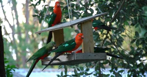 Blue Mountains Couples Retreat - Wildside Sanctuary