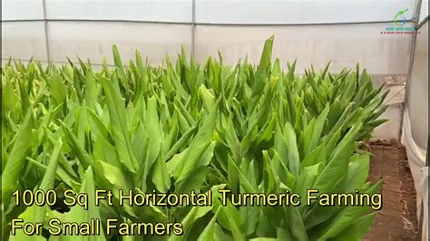 1000 Sq Ft Horizontal Farming 2 Youtube