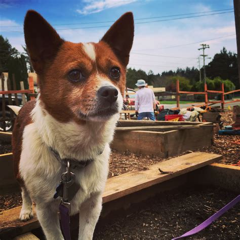 Muddy boots is one of hrm's fastest growing outdoor care companies, with our attention to detail and drive to make every project the very best. About - Muddy Boots Landscaping