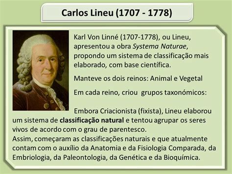 Classificação Dos Seres Vivos Biologia A Ciência Da Vida