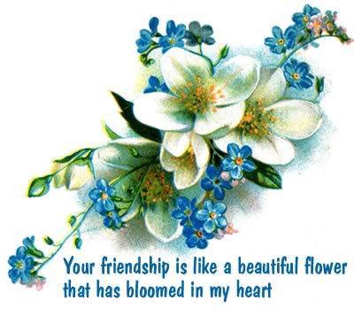 Check spelling or type a new query. Friendship Quotes Like A Flower. QuotesGram