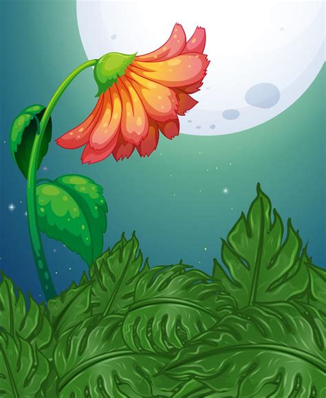 ▶ photo et images libres de droits pour pleine lune. Fleur rouge nuit de pleine lune 519646 - Telecharger ...