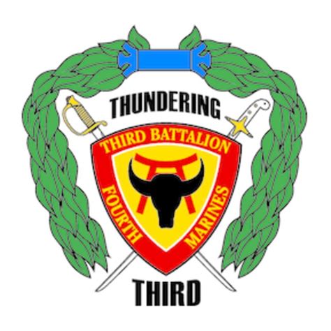 Thundering 3rd Battalion 4th Marines Prepares For Reactivation 1st