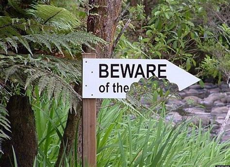 Worlds Funniest Signs Photos Huffpost