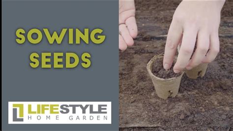 3 Best Ways To Sow Your Seeds Step By Step Guide From Gardening
