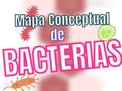 ᐈ Mapa conceptual de las Bacterias