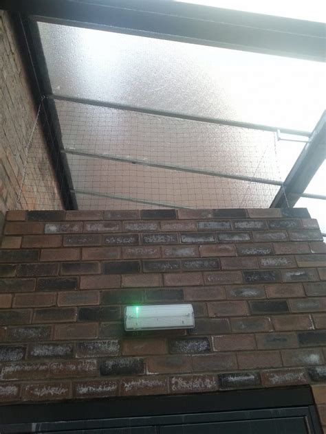 Pest control services in dorset. Willis Pest Control: Pest Control in Birmingham, 24/7 ...