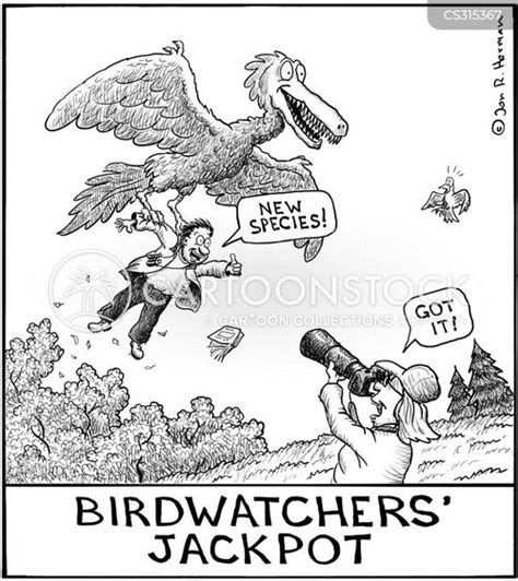 Bird Watcher Cartoons And Comics Funny Pictures From Cartoonstock