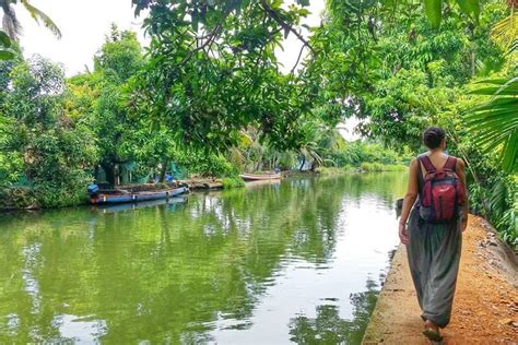 Alleppey Backwaters Canoe Tour Instead Of Kerala Houseboat 🛶🌴