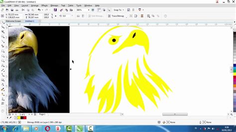 Sayangnya, burung elang merupakan fauna langka yang keberadaannya harus dilindungi. Membuat Logo Burung Elang untuk pemula di Corel Draw - YouTube