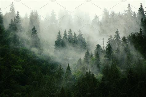 Foggy Mountain Forest Wallpapers Top Free Foggy Mountain Forest