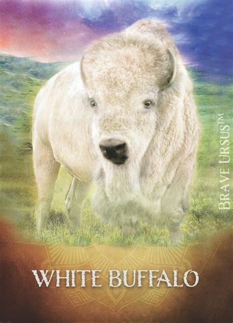 White Buffalo Spirit Animal Altar And Prayer Card 5x7 By Bernadette King