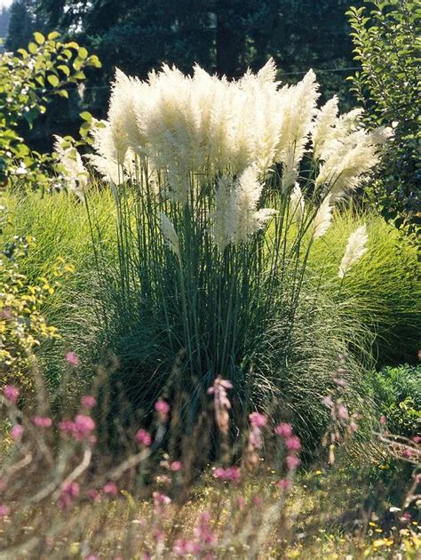 Best Type Of Landscape Edging - best type of garden edging