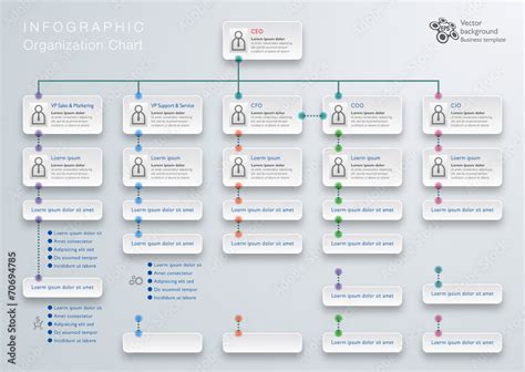 Infographics Background Organization Chart Coloso