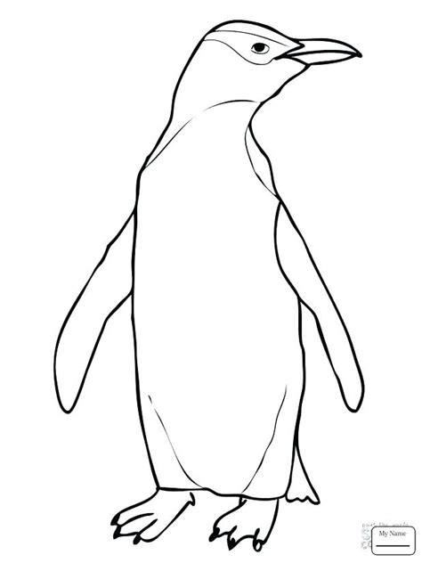 Draw, color and learn about rainforests. Emperor Penguin Coloring Page at GetColorings.com | Free ...