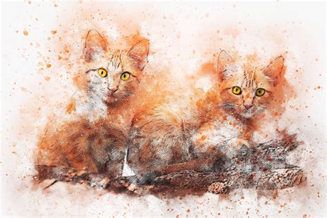 100 Cat Art Wallpapers