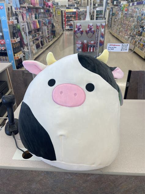I screamed. Found at Walgreens in GA!!! : r/squishmallow