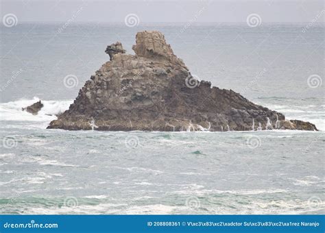 A Rock In The Sea At The Sandfly Bay Beach In Otago Penninsula Near Dunedin In New Zealand Stock