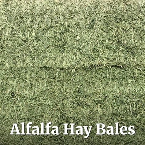 Chaffhaye Premium Alfalfa 50 Rampart Feed And Supplies Llc