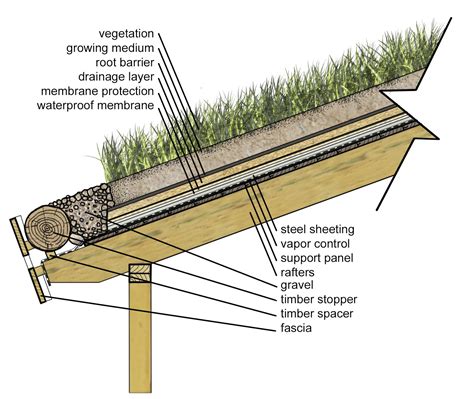 The Architecture Detailer Green Roof 1 Timber Structures