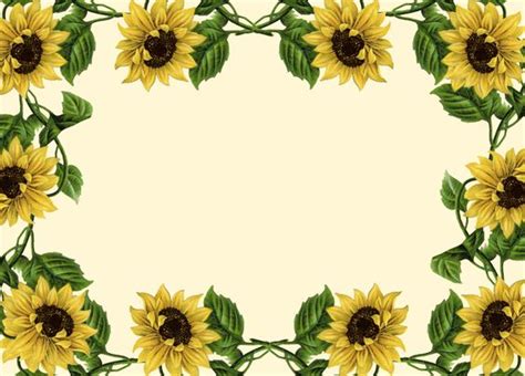 Sunflower Border Clip Art Borders Wallpapers