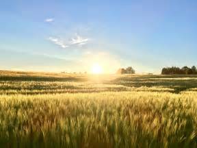 More images for annamária horváthová running » Sunset in South Estonia 🇪🇪 little village called Ädu : europe