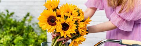 Discover the latest 1800mattress promo codes and coupon codes: 30% Off 1800Flowers Promotion Codes and Coupons for 1-800 ...