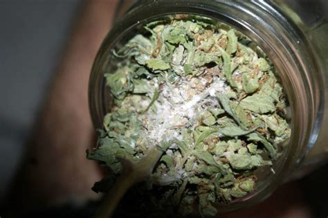 Maybe you would like to learn more about one of these? Does Weed Go Bad? Here's How Long Weed Lasts [Definitive ...
