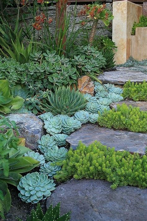 Succulent landscaping succulent gardening front yard landscaping cacti and succulents planting succulents organic gardening indoor gardening gardening shoes gardening vegetables. Creative DIY Gardening Idea # 20: Landscaping with Succulents