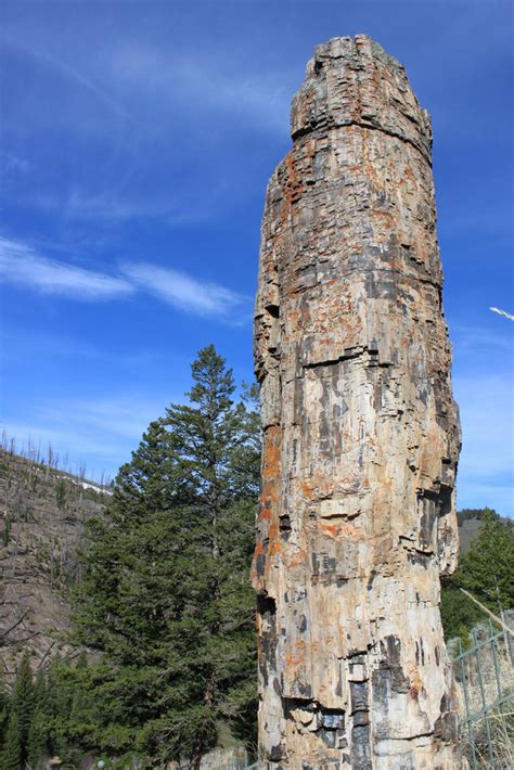 I love everything about it; Best Time to See Tower-Roosevelt Area in Yellowstone ...