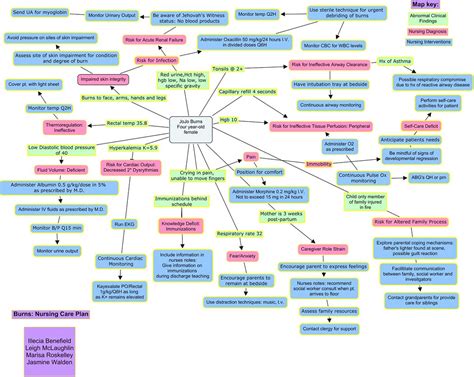 Concept Map Nursing Care Plan Map Of Rose Bowl