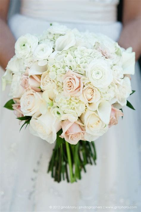 Before getting married or formalizing a civil union in champaign county, couples must obtain a marriage license or civil union license from the champaign county clerk's office. Official blog of Blossom Basket Florist -Urbana/Champaign ...