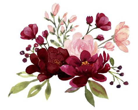 Blush And Burgundy Flowers Watercolor Clipart Collection Etsy Polska