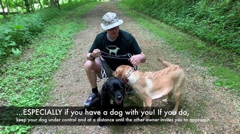 Etiquette For Encounters With Leashed Dogs Youtube