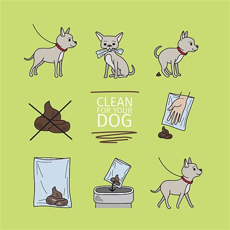 Dog Poop Clip Art Vector Images And Illustrations Istock