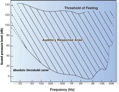 typical absolute threshold curve of the human auditory response download scientific diagram