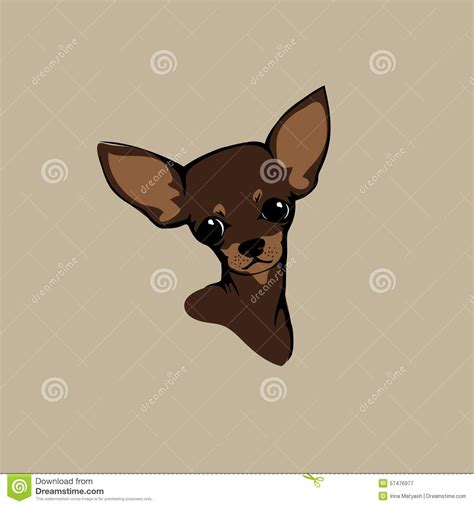 Chihuahua Pies Wektorowa Ilustracja Ilustracja Wektor Ilustracja złożonej z kresk traken