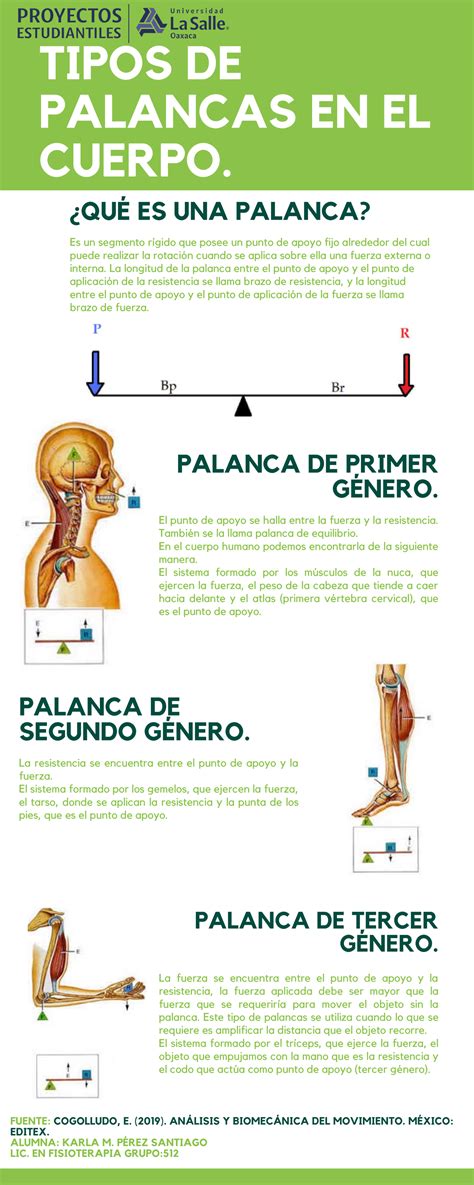 Palancas Hola Tipos De Palancas En El Cuerpo ¿quÉ Es Una Palanca