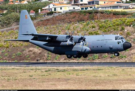 16805 Portuguese Air Force Lockheed C 130h Hercules L 382 Photo By