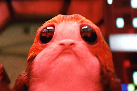 Science Can Explain Why You Want To Eat A Porg The Verge