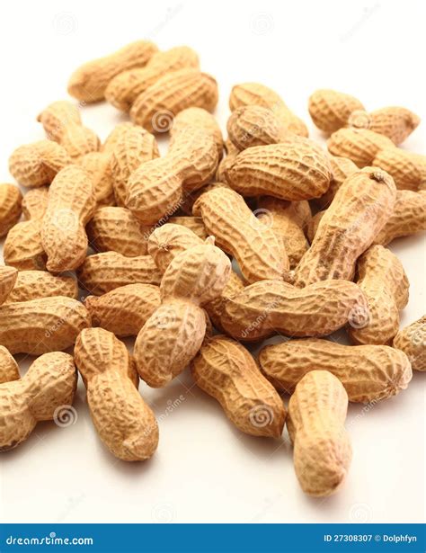Peanut Stock Image Image Of Vegetarian Brown Group 27308307