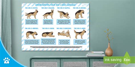 Understanding Your Dogs Body Language Display Poster