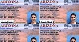 Images of Not For Federal Identification On Drivers License Az