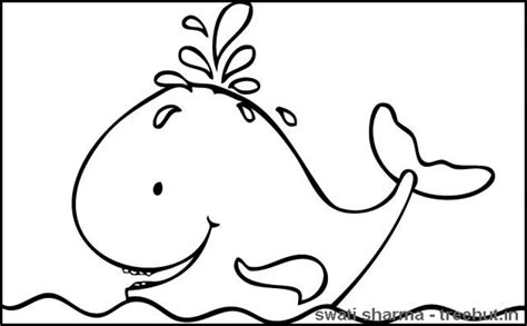 Gambar Whales Coloring Pages 100 Images Free Whale Clipart Colouring